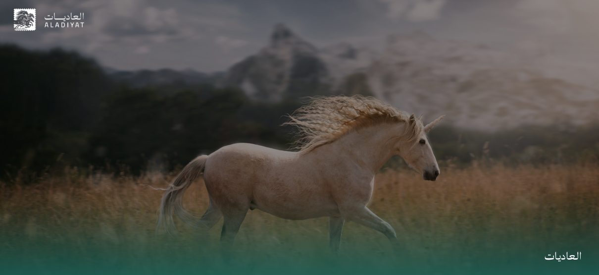  "كل آل فلان خيّالة"..